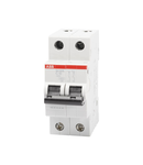 Intrerupator Automat 10A 2P C 4.5Ka SH202-L