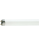 Tub Fluorescent TL-D 58W Snow White