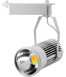 Proiector Sina LED 20W CW Alb, TG-3105.0420