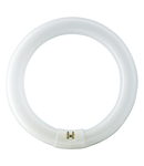 Tub Fluorescent Circular TL-E 40W