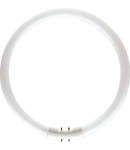 Tub Fluorescent Circular TL5 22W