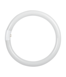 Tub Fluorescent Circular T9 32W 6400K