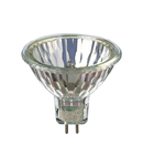 Bec Halogen Spot 20W GU5.3 12V 36D Accent