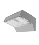 Corp iluminat de siguranta 100-052-521 Outdoor wall 2x1.5W LED 1H 239lm 5000K IP65