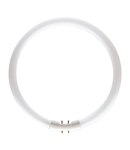 Tub fluorescent TL5 Circular 55W/830 2GX13