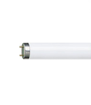 Tub fluorescent LT 58W/075 T8 Fresh light NRV