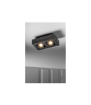 Spot - Ceiling fixture ASTER, AC220-240V, 50/60 Hz, GU10, max.20W * 2, IP20, aluminum, double, black