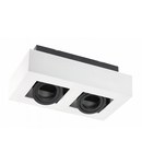 Spot - Ceiling fixture ASTER, AC220-240V, 50/60 Hz, GU10, max.20W * 2, IP20, aluminum, double, white