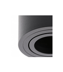 Spot - Ceiling fixture AVEIRO DUO, aluminium, 160x80x85mm, IP20, max 20W*2, round, black