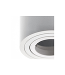 Spot - Ceiling fixture AVEIRO DUO, aluminium, 160x80x85mm, IP20, max 20W*2, round, white
