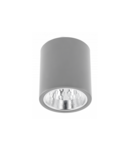 Spot - Ceiling fixture DRAGO, max 60W, E27, AC220-240V, 50-60Hz, IP20, 133 * 148mm, gray