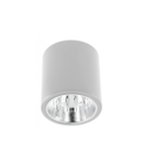 Spot - Ceiling fixture DRAGO, max 60W, E27, AC220-240V, 50-60Hz, IP20, 172*180mm, white