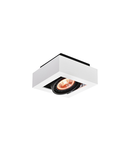 Spot - Ceiling fixture Loid, 4632,AC220-240V, 50/60 Hz, IP 20,1*gu10, ES111,single,white