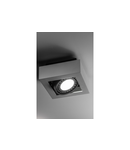 Spot - Ceiling fixture Loid, 4632,AC220-240V, 50/60 Hz, IP 20,1*gu10, ES111,single,white