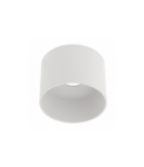 Spot - Ceiling fixture SAKURA,alum.,120×85,IP20,ES111,GU10,round,white