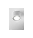 Spot - Ceiling fixture SAKURA,alum.,120×85,IP20,ES111,GU10,round,white