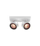 Spot - Ceiling fixture Wally,4373,AC220-240V, 50/60 Hz, IP 20,2*Gu10,ES111, double, white