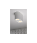 Spot - Ceiling light fitting SENSO DUO , alum,83x165x110, IP20, MAX 50W round white