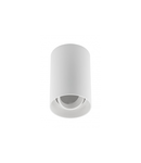 Spot - Ceiling light fixture RESTO, PC, φ80x125mm, IP20, max 20W, round, white