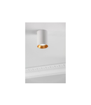 Spot - Ceiling luminaire AERO II, aluminium, 70x100mm, IP20, max. 20W, round, white