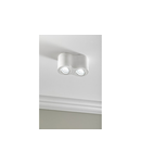 Spot - Ceiling luminaire AVEIRO DUO BIS, aluminium, 160x80x90mm, IP20, max 20W*2, round, white