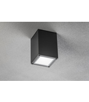 Miniatură Spot - Ceiling luminaire LENTO, alum, 100×130, IP54, max 35W, square, graphite - imaginea 2