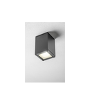 Miniatură Spot - Ceiling luminaire LENTO, alum, 100×130, IP54, max 35W, square, graphite - imaginea 3