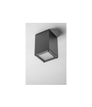 Spot - Ceiling luminaire LENTO, alum, 100×130, IP54, max 35W, square, graphite