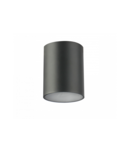 Spot - Ceiling luminaire LENTO, alum, 100×130, IP54, MAX.35W, round, graphite