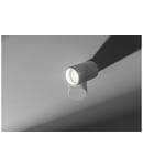 Spot - Ceiling luminaire LUPO, aluminum, 11.6×5.6×11.5, IP20, 1*GU10, max. 50W, round, white