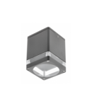 Spot - Ceiling luminaire RIVEN, alum, 102×120, IP54, max 35W, square, graphite