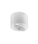 Spot - ISUMI ceiling lamp with adjustable angle, aluminium, 130×100, IP20, ES111, GU10, round, white