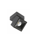 Miniatură Spot - LED luminaire BIANCO CCT, 8W,680lm,AC220-240V,50/60 Hz,Ra≥80,IP20,36degrees,2700/3300/4000K,square,black - imaginea 3