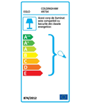 Pendul vintage EGLO COLDINGHAM 49734