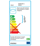 Plafoniera EGLO RONCADE 1 99322
