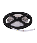 BANDA LED, 4,8W/m, 4200K, SMD2835, 60 LED/m, IP20