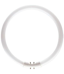 TUB NEON - TL5 Circular 22W/827 Philips