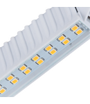Miniatură Sursa de lumina LED RANGO LED RANGO R7S SMD-WW - imaginea 2