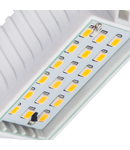 Miniatură Sursa de lumina LED RANGO MINI LED RANGO MINI R7S SMD-WW - imaginea 2