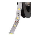 Miniatură Banda LED LEDS-B LEDS-B 4.8W/M IP65-CW - imaginea 2