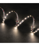 Miniatură Banda LED LEDS-B LEDS-B 4.8W/M IP65-CW - imaginea 3