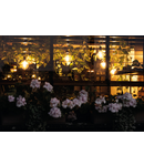 Miniatură Sursa de lumina LED XLED G95 XLED G95 7W-WW - imaginea 3