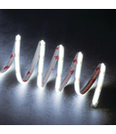 Miniatură Banda LED LCOB 10W/M 12V LCOBC 10W/M 12IP00-CW - imaginea 3