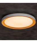 Miniatură Plafoniera LED ANBAR LED ANBAR LED 37W CCT BR - imaginea 3