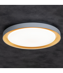 Miniatură Plafoniera LED ANBAR LED ANBAR LED 37W CCT BR - imaginea 4