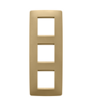 PLACA INTERNATIONALA ONE - IN TEHNOPOLIMER VOPSIT - 2+2+2 MODULE VERTICAL - AUR - CHORUSMART Gewiss
