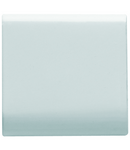 BUTON INTERSCHIMBABIL - 22X22mm - GENERAL - ALB SATINAT - CHORUSMART Gewiss