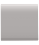 BUTON INTERSCHIMBABIL - 22X22mm - GENERAL - BEJ SATINAT NATURAL - CHORUSMART Gewiss