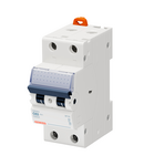 ÎNTRERUPATOR MINIATURAL - MT 100- 2P CARACTERISTICA C 63A - 2 MODULE Gewiss