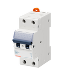 ÎNTRERUPATOR MINIATURAL - MT 60- 2P CARACTERISTICA C 32A - 2 MODULE Gewiss